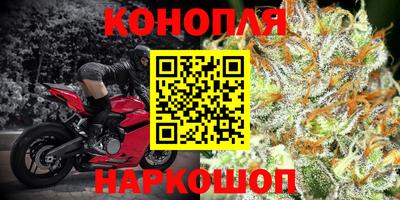 крисы Абакан