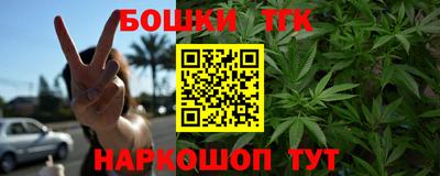 крисы Абакан