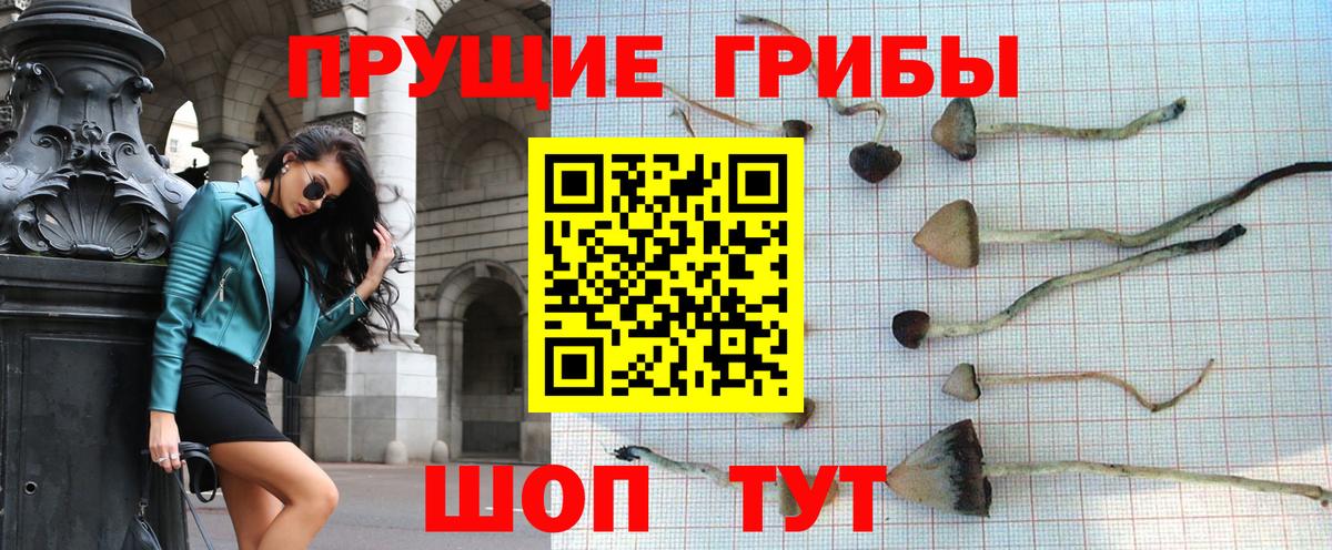 Ангарск  закладки  Вход с VPN  Галлюциногенные грибы GOLDEN TEACHER 